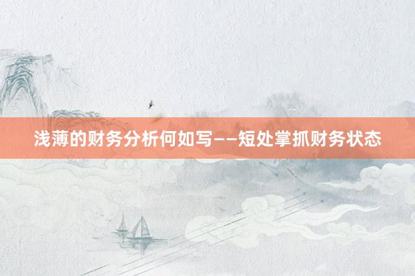 浅薄的财务分析何如写——短处掌抓财务状态